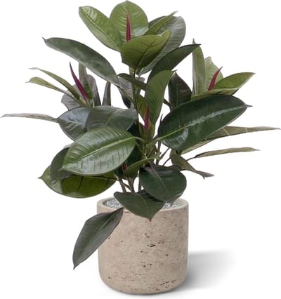 Philodendron Window kunstplant 50cm