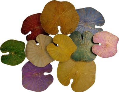 Fine Asianliving Echt Lotus Wanddecoratie Duurzame Wall Art 3D Multicolour