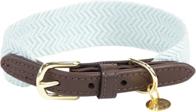Kentucky Dogwear - Jacquard Hondenhalsband - Lichtblauw - Maat S - 42cm - Hondenriem