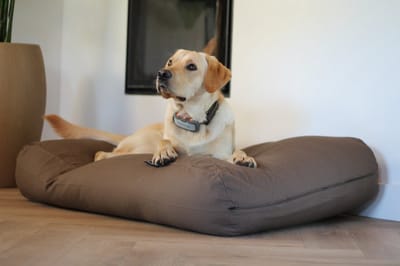 Dog's Companion Hondenkussen / Hondenbed - XL - 140 x 95 cm - Taupe/Bruin Canvas/Katoen