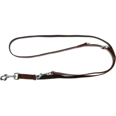 Dog Leash Alliance Kerbl Vegas