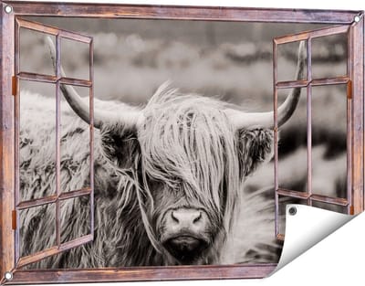 Gards Tuinposter Doorkijk Schotse Hooglander Koe - Zwart Wit - 90x60 cm - Tuindoek - Tuindecoratie - Wanddecoratie buiten - Tuinschilderij