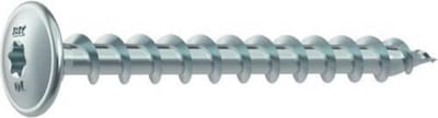 tellerkopschroef cilinderkop torx 8x100mm 2 stuks gegalvaniseerd