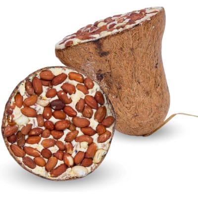 8 - 24 st. Lyra Pet® Energy Boost voederbel met pinda's