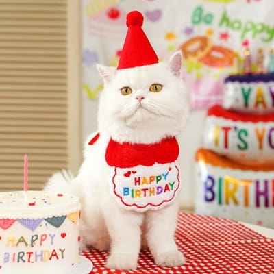 Ensemble Chapeau de Fête d'Anniversaire pour Animaux de Compagnie Mignon Chat Chien Célébration d'Anniversaire Écharpe Déguisement Chaton Chiot Costumes Cadeau Accessoires pour Animaux de Compagnie M rouge