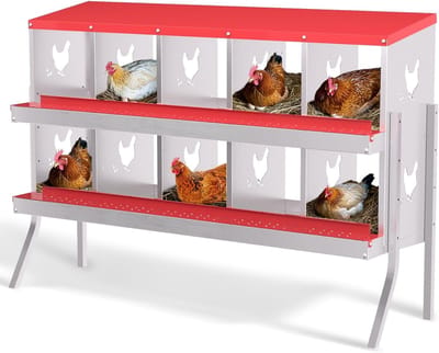 HoerFuriy Kippenhok Nestkast - 10 Legnesten - Verzinkt Staal - Met Poten - Automatisch Afrolsysteem - Eenvoudig te Reinigen - 136 x 43 x 90 cm