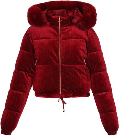 taddy jacket