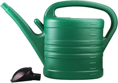 Gieter Grote Capaciteit - Planten Waterkan - Planten Verzorgen - Afneembare Douchekop - 10 Liter - Groen