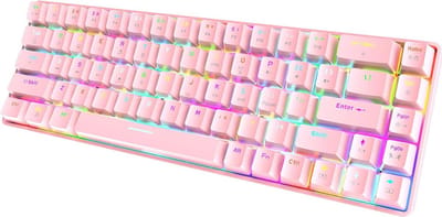 Compact 60% Mechanisch Gamingtoetsenbord met RGB Achtergrondverlichting - Mini 68 Toetsen, Blue Switch, Anti-ghosting voor PC, Laptop, PS4 en Xbox