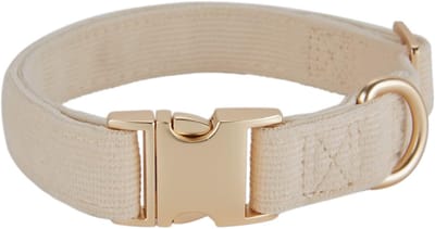 Ultrazachte katoenen halsband voor kleine honden met gevoelige huid - Crèmewit