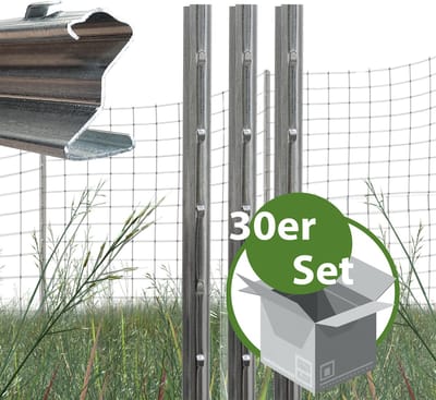 TRUTZHOLM - Z-profiel Afrasteringspaal Set van 30 - 150 cm - 1,5 mm Dik - Thermisch Verzinkt - Gestanste Haken - Bosprofiel Paal