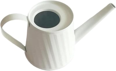 Lange Uitloop Gieter - Waterkruik Planten - Planten Water Geven - Gecontroleerde Stromen - 2.3 Liter Capaciteit - Zilver