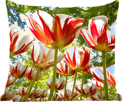 Sierkussens - Kussentjes Woonkamer - 60x60 cm - Een tuin met rood met witte tulpen