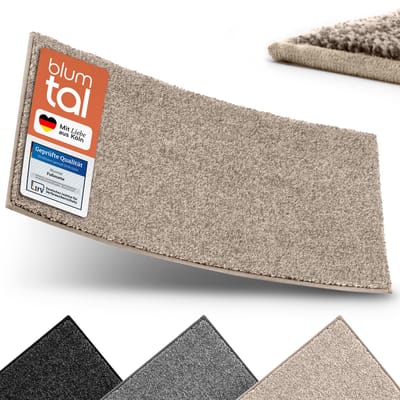 Blumtal Deurmat Thora - Schoonloopmat Microvezel - Antislip 80x120 cm - Beige