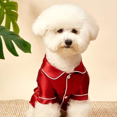 Un pyjama non extensible, léger, respirant et confortable pour animal de compagnie, adapté aux petites races de chiens comme les Teddy Bears, à porter toute l'année 5XL bordeaux