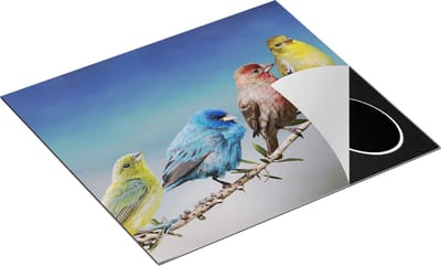 Chefcare Inductie Beschermer Kleurrijke Zangvogels op een Tak - Kleur - 60x50 cm - Afdekplaat Inductie - Kookplaat Beschermer - Inductie Mat