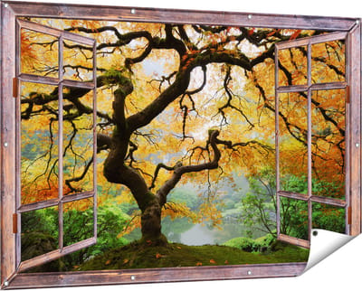 Gards Tuinposter Doorkijk Oude Knoestige Boom - 150x100 cm - Tuindoek - Tuindecoratie - Wanddecoratie buiten - Tuinschilderij