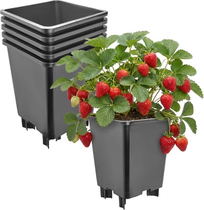 Garronda Set van 5 kunststof bloempotten met poten voor aardbeien en frambozen (Zwart, 21 x 21 x 26,5 cm – 7 L) GD-KW-F