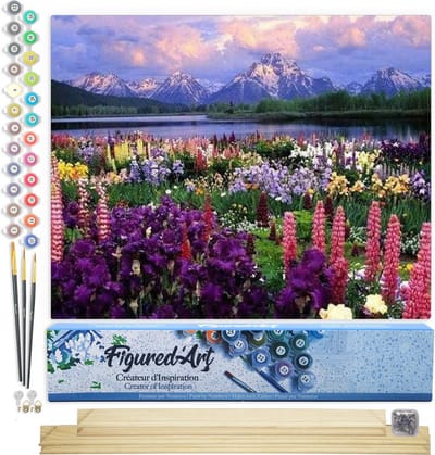 Figured'Art Schilderen op Nummer Volwassenen canvas Bloemen en meer in de buurt van de berg - Handwerk acrylverf Kit DIY Compleet - 40x50cm met DIY houten lijst