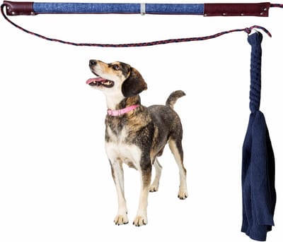 Hondenspeelgoed Flirt Pole maat 2 in de kleuren jeansblauw en maroon. Hondenhengel - Hondentraining - honden speelhengel - focus training - focus speelgoed - honden speeltouw - trektouw - dog toy - dog activity toy - ShukoGear by MadeByShuko