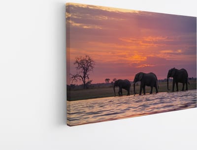Saammp Canvas Schilderij - Olifanten in de zonsondergang - Afrika - Dieren - 45x30 - Foto op canvas - Wanddecoratie - muurdecoratie Woonkamer - Slaapkamer decoratie - Canvas Print