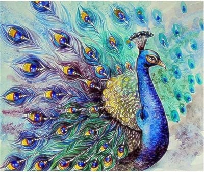 TOPMO - Pauw Watercolor - 40X50CM- Diamond painting pakket - HQ Diamond Painting - VOLLEDIG dekkend - Diamant Schilderen - voor Volwassenen – ROND