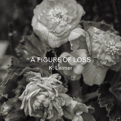 K. Leimer - A Figure Of Loss (CD)