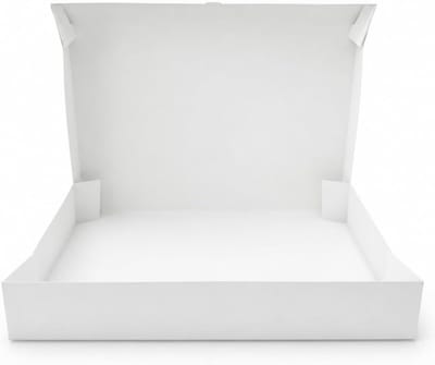 SnelShoppen - Set van 25 Witte Cateringdozen 42 x 29 cm - Ideaal voor Feestjes, Evenementen, Picknicks en Catering - Stevig en Duurzaam