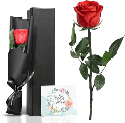 Genuine Preserved Infinity Rose in Gift Box, Duurzaam Rozen Geschenk voor Vrouwen, Moeders en Verjaardagen, Jubilea en Valentijnsdag