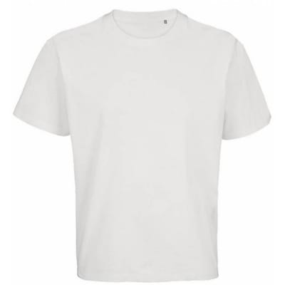 SOLS Unisex volwassen Legacy oversized T-shirt (Wit)