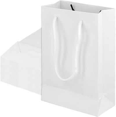 Dailygoods- Geschenkzakken 40 stuks - Witte Kartonnen Zakken - 19x13x6 cm - Glanzende Afwerking - Versterkte Basis - Touw Handvatten - Geschenkzakjes
