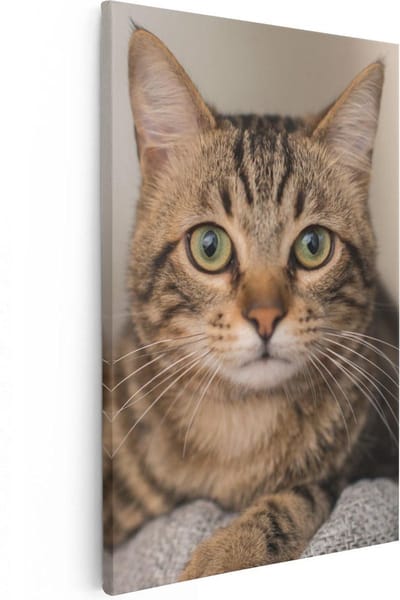 Artaza Canvas Schilderij Katten - 20x30 cm - Klein - Muurdecoratie Dierenkop - Wanddecoratie Woonkamer - Kamer Accessoires