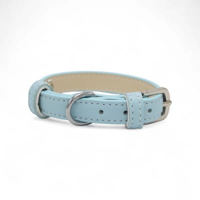 Dog's Companion Leren Halsband Hond - PU leren hondenhalsband - Lengte: 33 cm Verstelbaar van 19-26,5 cm x 15 mm - Blauw
