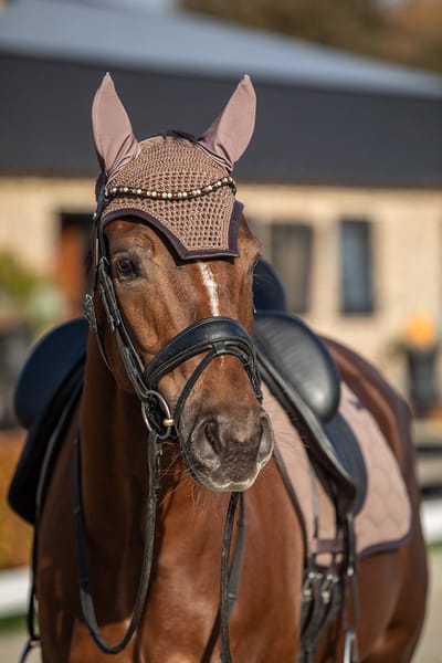 Horsegear Oornetje Horsegear Hgwareham Middenbruin