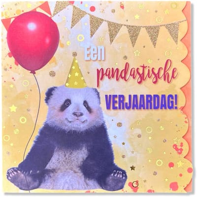 Een Pandastische Verjaardag Wenskaart - 13x13cm - Luxe Gevouwen vierkante kaart met gekleurde envelop