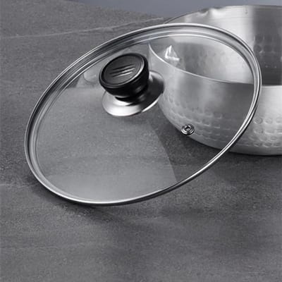 Pan Deksel - Pot Cover - Energiezuinig Koken - Zichtbaar RVS Rand - 20 cm - Transparant