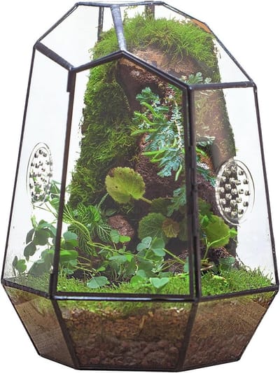 Geometrische Glazen Terrarium met Voordeur en 2 Ventilatiegaten voor Insecten, Succulenten en Cactussen - 20x17.5x25cm Zwart Onregelmatig Plantenbakje voor Thuis en Tuin Decoratie