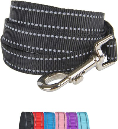 Reflecterende Nylon Hondenriem met Gewatteerd Handvat en D-ring - Ideaal voor Middelgrote Honden - Zwart