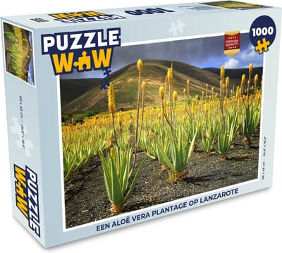 Puzzel Een Aloë Vera plantage op Lanzarote - Legpuzzel - Puzzel 1000 stukjes volwassenen