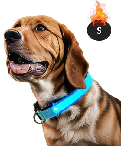 Bovista Lichtgevende Halsband - Verlichte Halsband - Lichtgevend - Hond - Kat - Lampje - Hondenhalsband Led - Oplaadbaar - Glow In The Dark - Blauw - S
