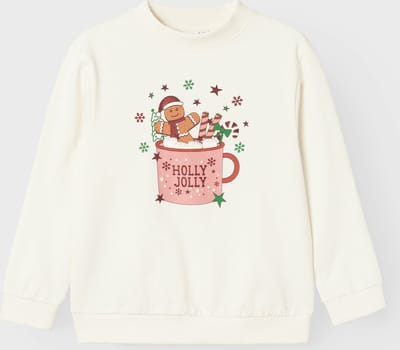 NAME IT NKFRULJUL LS NREG SWEAT BRU BOX Meisjes Trui - Maat 122/128
