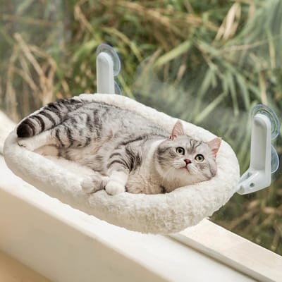 Famanu – Grote opvouwbare raamhangmat voor katten met verdikt kussen en 4 sterke zuignappen - draagkracht tot 15 kg - 54 x 36 cm