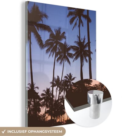 MuchoWow® Glasschilderij 30x40 cm - Schilderij acrylglas - Palmboom - Tropisch - Zomer - Lucht - Foto op glas - Schilderijen