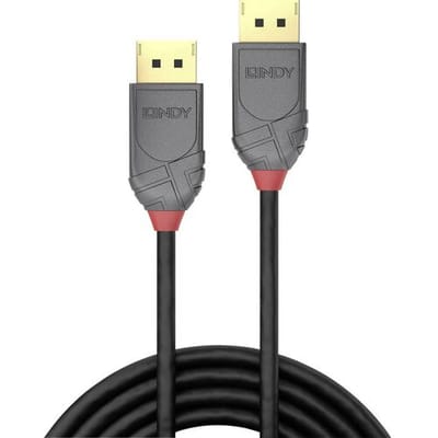 Lindy Anthra Line - DisplayPort kabel - DisplayPort (M) naar DisplayPort (M) - DisplayPort 1.4 - 3 m - rond - zwart