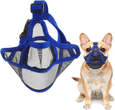 Zachte muilkorf voor honden met korte neus, verstelbaar netmasker voor Franse bulldogs, voorkomt bijten en blaffen, ideaal voor training en wandelingen (blauw)