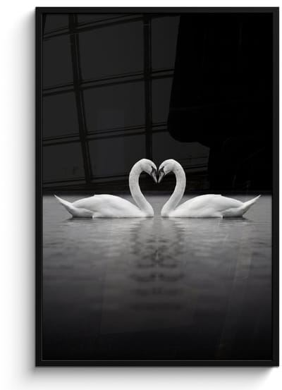 Poster in lijst - Fotolijst 80x120 cm - Posters - Zwanen - Hart - Zwart - Wit - Posterlijst zwart - Decoratie - Wanddecoratie woonkamer - Muurdecoratie slaapkamer