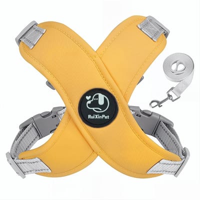 Harnais et Laisse Réfléchissants pour Chat Ensemble Réglable Sans Évasion Harnais Gilet pour Chaton Respirant Sangle de Poitrine de Marche pour Intérieur Extérieur (Yellow,M) jaune