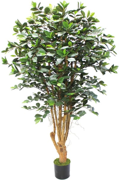 Ficus Kunstplant 180cm | Grote kunstplant voor binnen | Kunst Ficus 180cm | Nep Ficus | Kunstboom 180cm