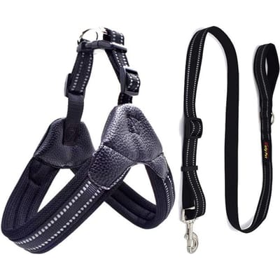 Reflecterend Franse Bulldog Huisdier Tuigje en Lijn Set Gezellige Mesh Hondentuigjes Ideaal voor Kleine Middelgrote Honden Huisdieren Accessoires hondenharnas Hoge Kwaliteit XS