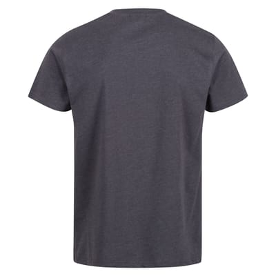Regatta Heren Pro Cotton Soft Touch T-Shirt (Afdichting Grijs)